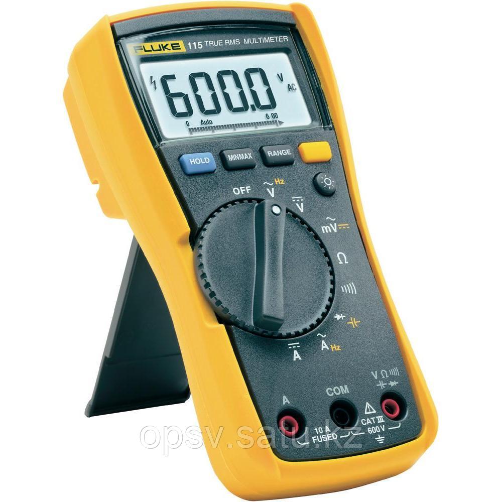 61811010_fluke-115.jpg