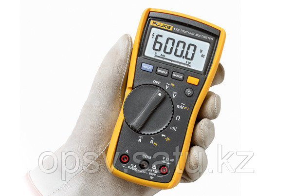 61811012_fluke-115.jpg