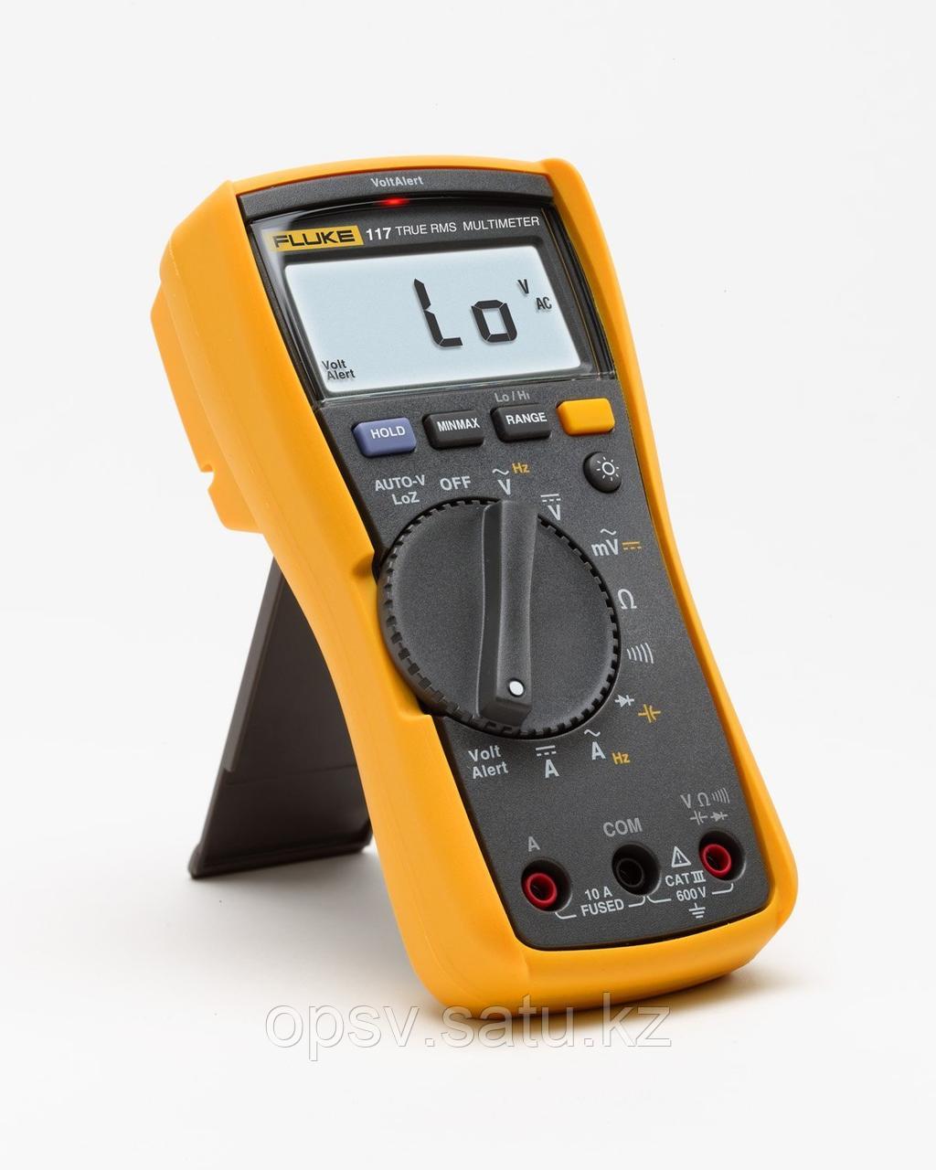 61840357_fluke-117.jpg