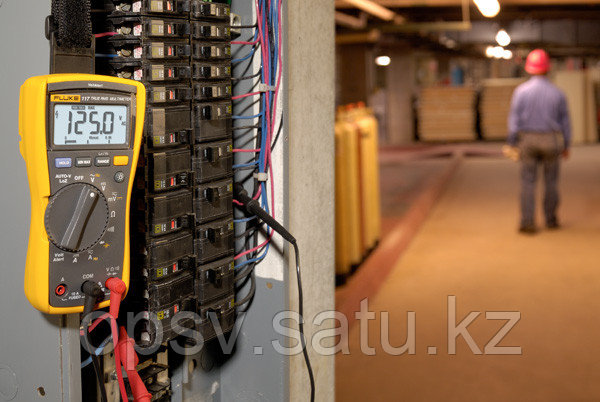 61840358_fluke-117.jpg